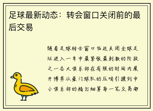 足球最新动态：转会窗口关闭前的最后交易